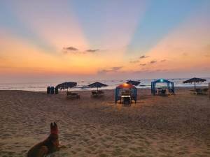Goa Dating Location Calangute Beach 2